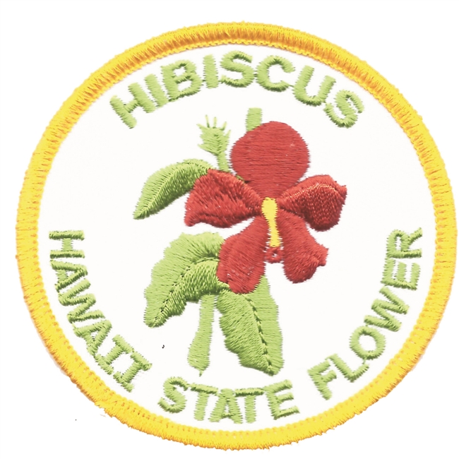 The State of Hawaii Souvenir Patch 